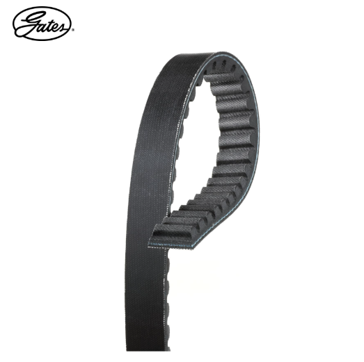 426-21004 GATES 21004 (695x19) SYM Mio (Oem1B01A1A01) Fransa Üretim Drive Belts