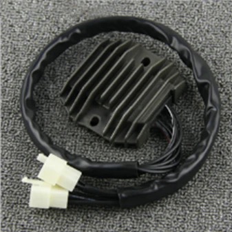TIGSA-RGL-0020 21066-0016 Kawasaki NINJA ZX-6R ZX636